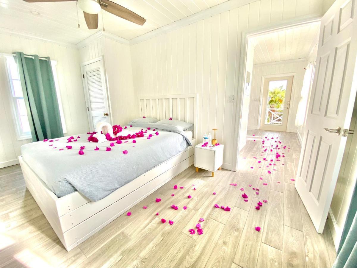 Eleuthera Retreat - Villa & Cottages On Pink Sand Beachfront Palmetto Point Dış mekan fotoğraf