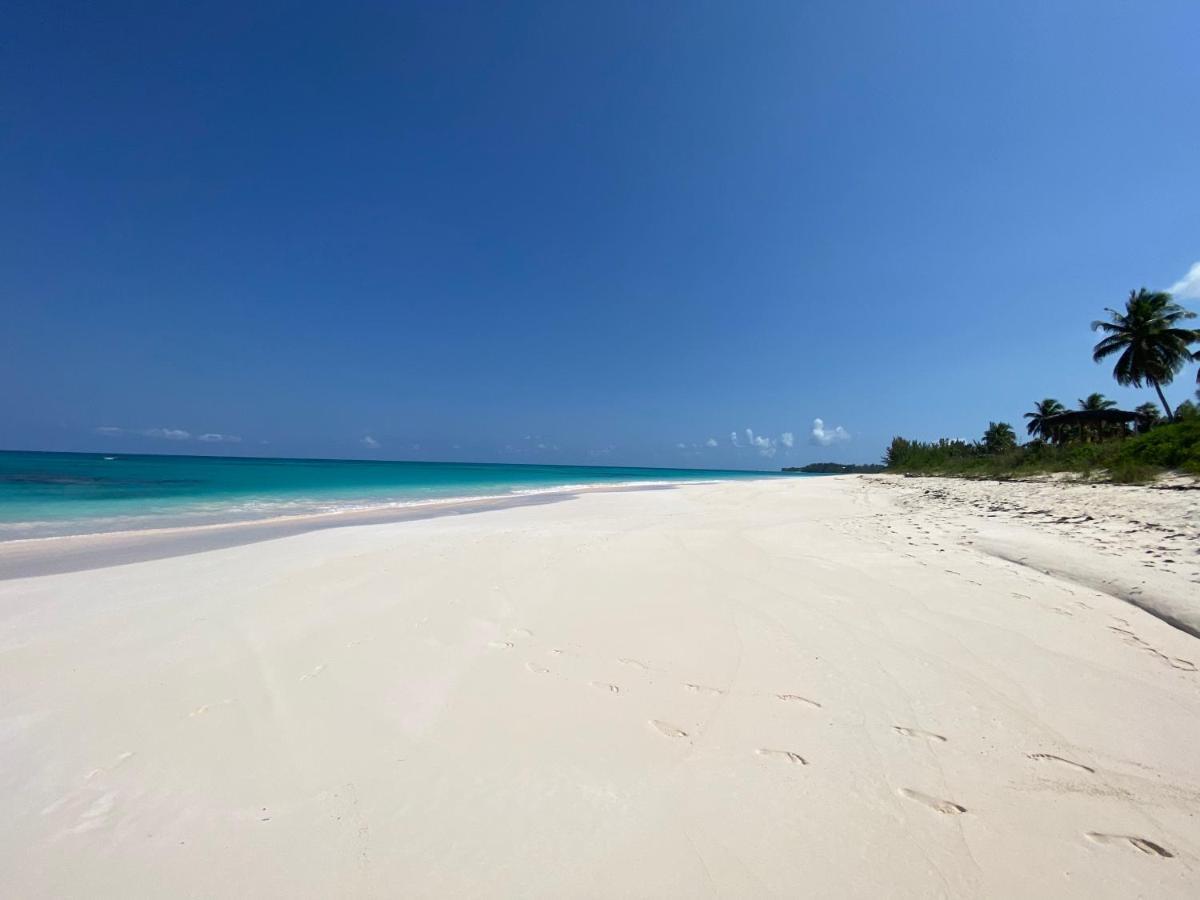 Eleuthera Retreat - Villa & Cottages On Pink Sand Beachfront Palmetto Point Dış mekan fotoğraf