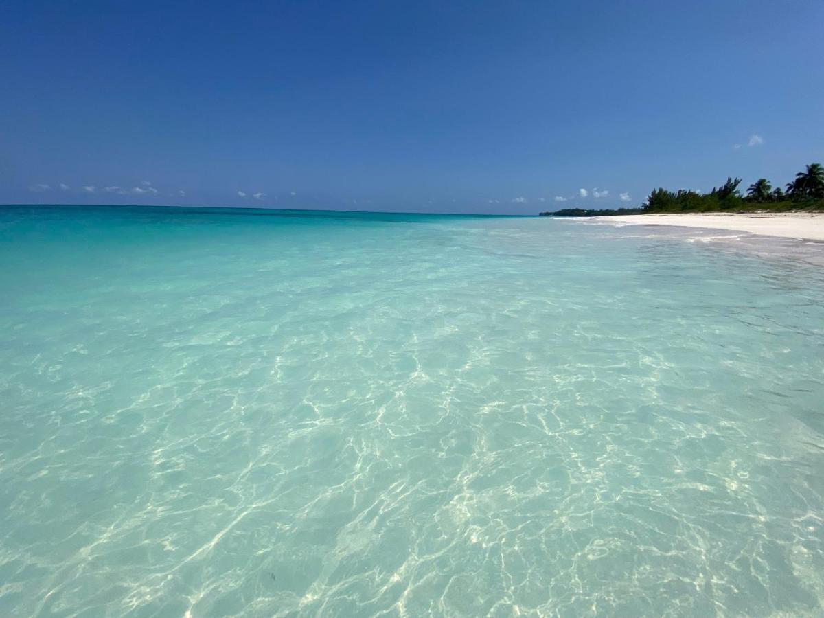 Eleuthera Retreat - Villa & Cottages On Pink Sand Beachfront Palmetto Point Dış mekan fotoğraf