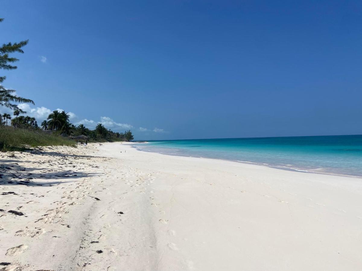 Eleuthera Retreat - Villa & Cottages On Pink Sand Beachfront Palmetto Point Dış mekan fotoğraf