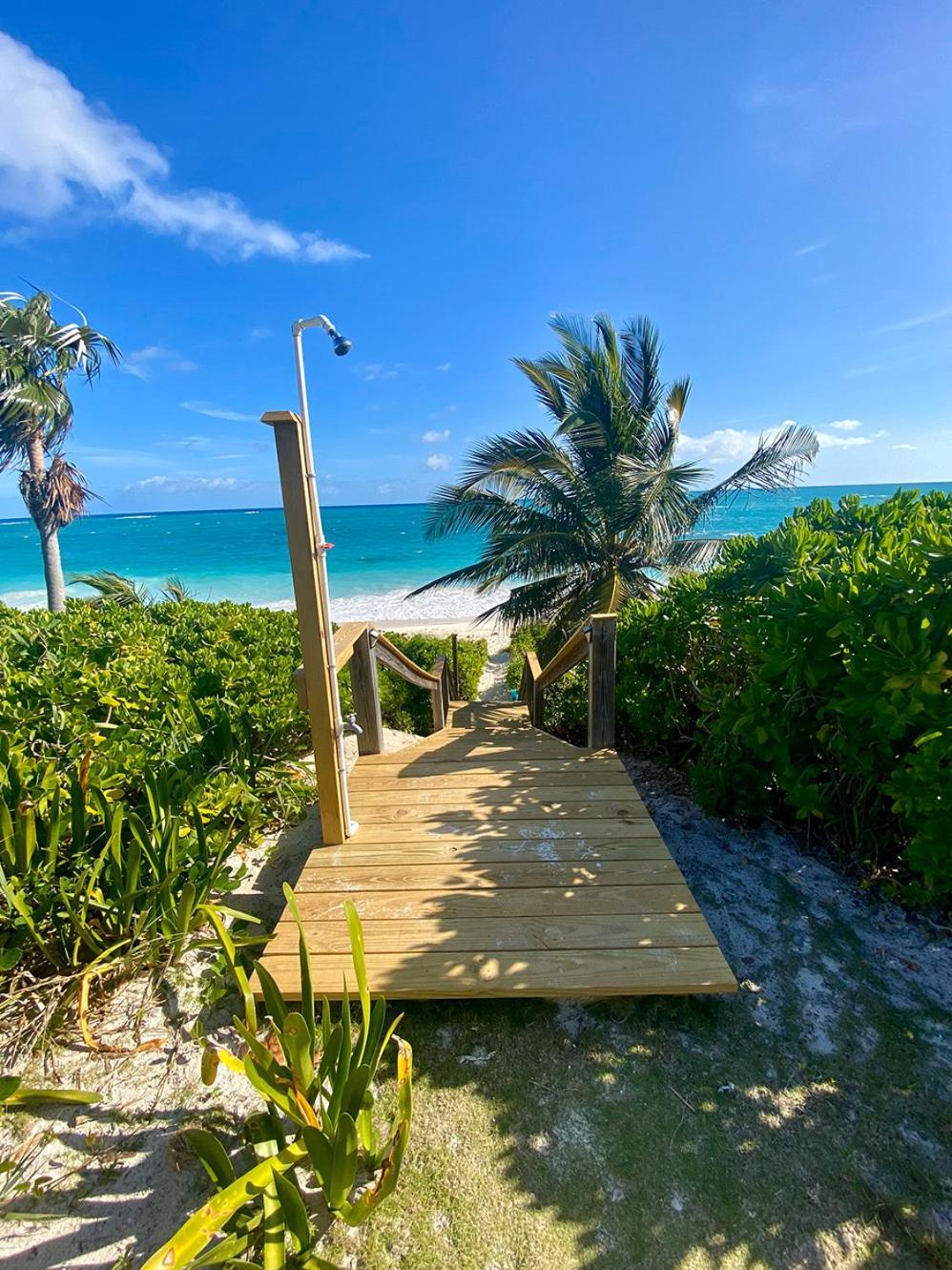 Eleuthera Retreat - Villa & Cottages On Pink Sand Beachfront Palmetto Point Dış mekan fotoğraf